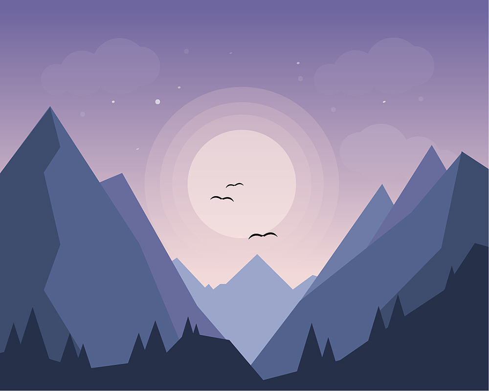 小黑在黑夜里遇见两小只!!!