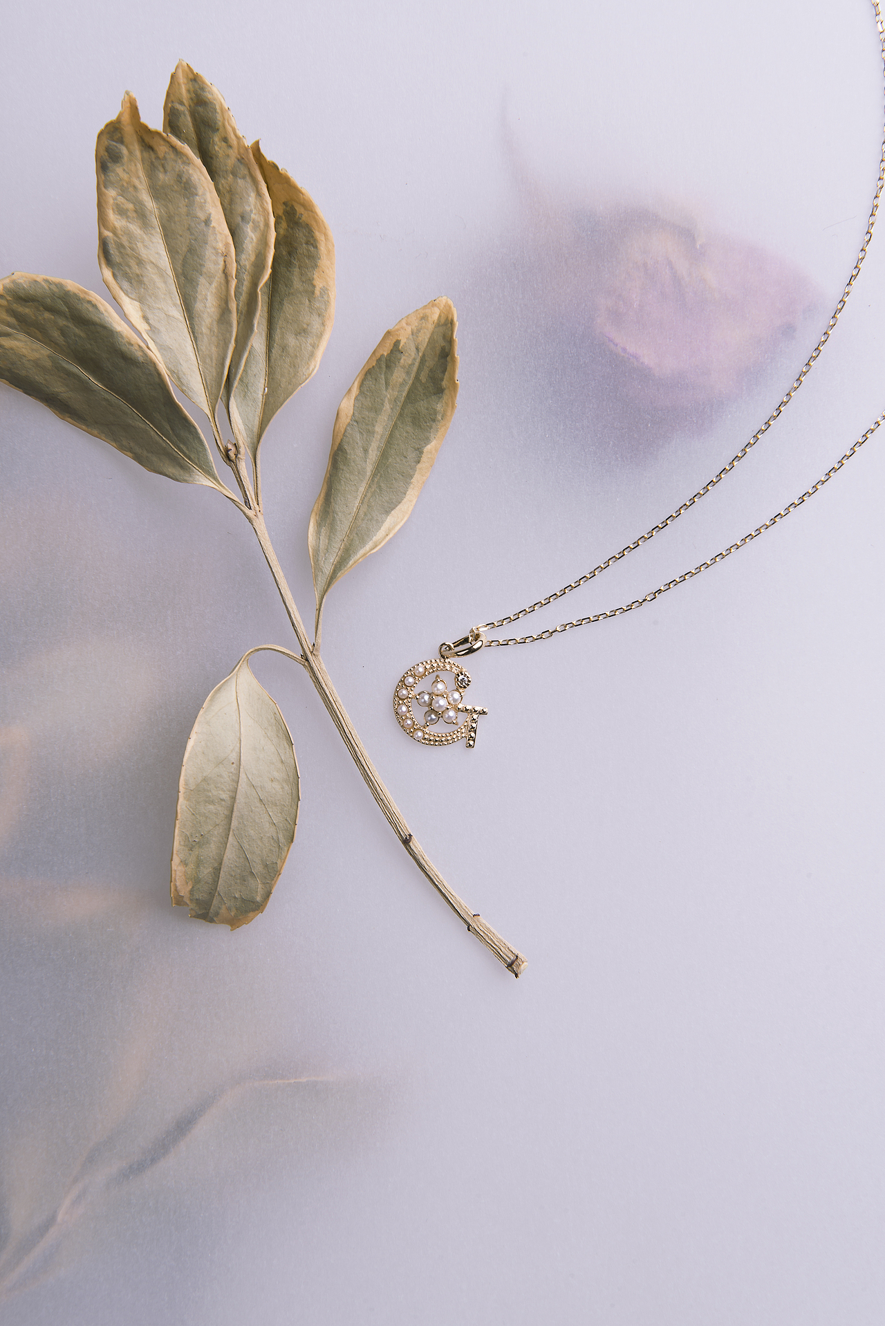 带珍珠的字母项链（图ZMTYxNzY5NDM2） - 产品摄影 - 站酷设计师Dim750原创素材 - 站酷ZCOOL