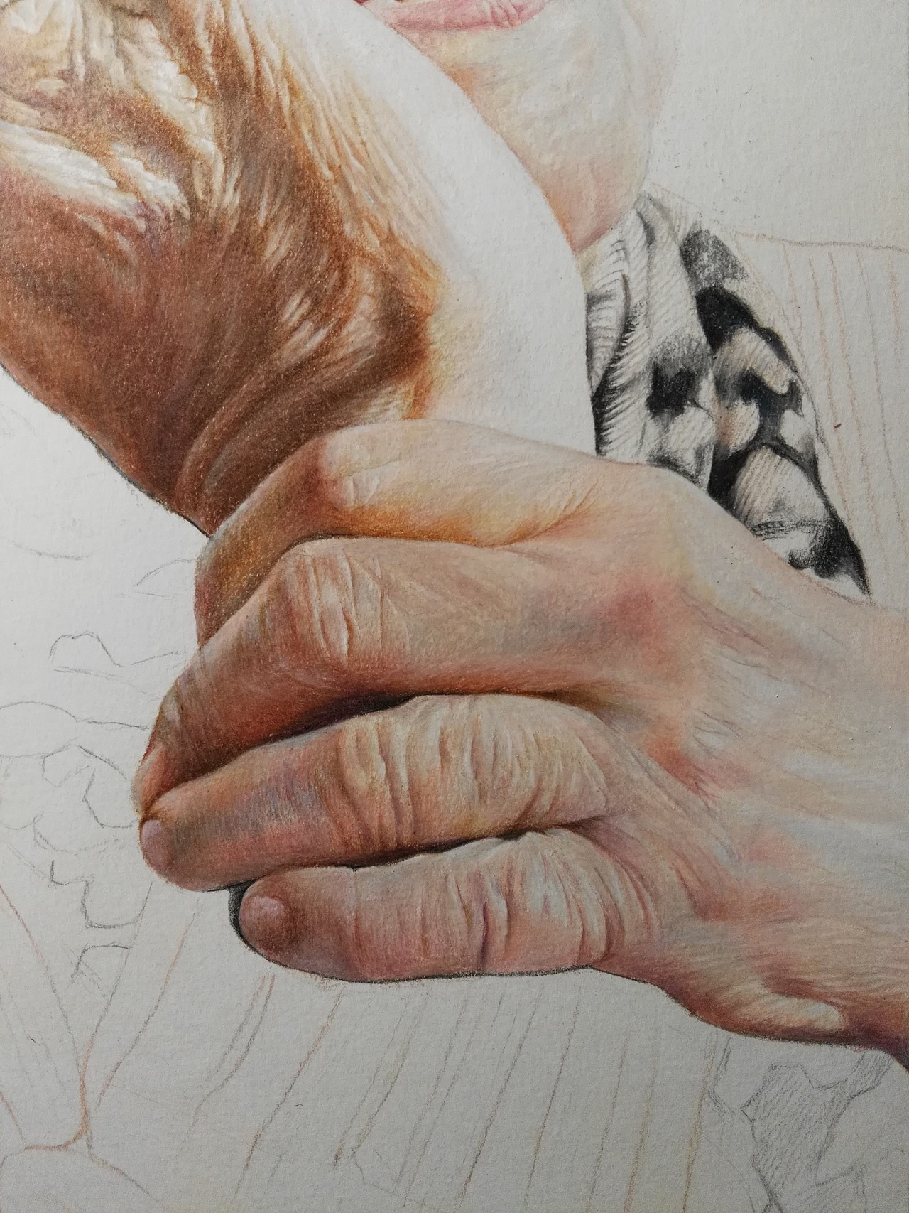 写实彩铅作品《奶奶》