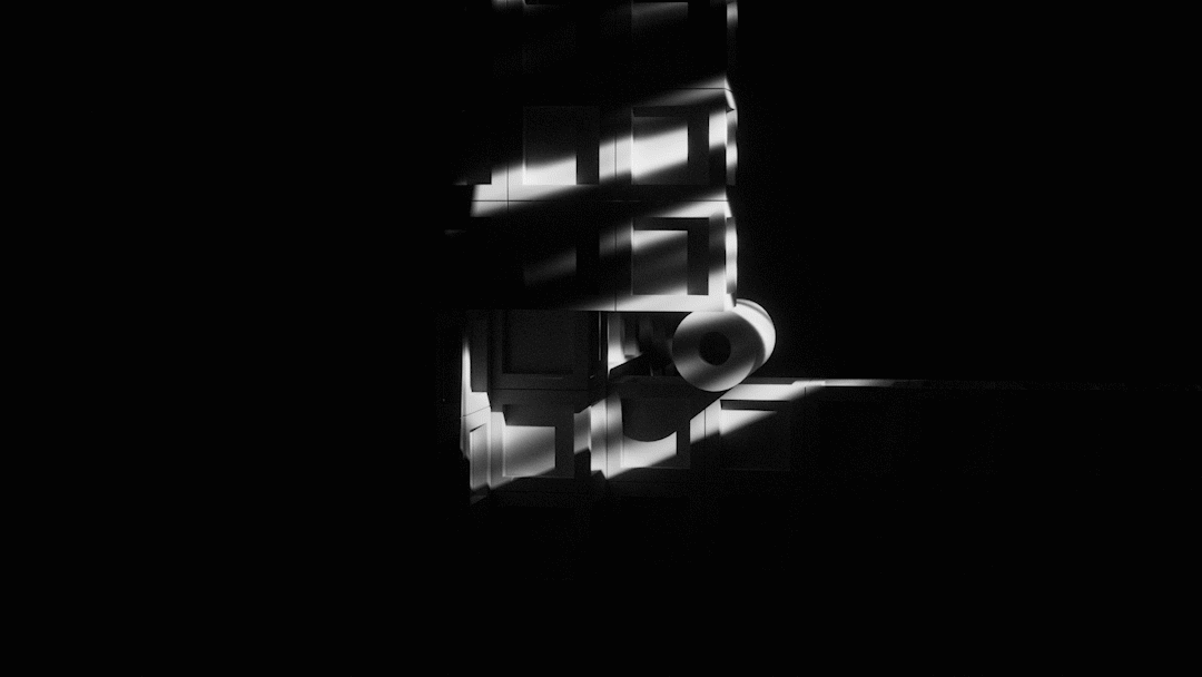 【黑-白】 | Black and white（图ZMjgyNDcwNTky） - 其他三维 - 站酷设计师柏白BYEBAI原创素材 - 站酷ZCOOL