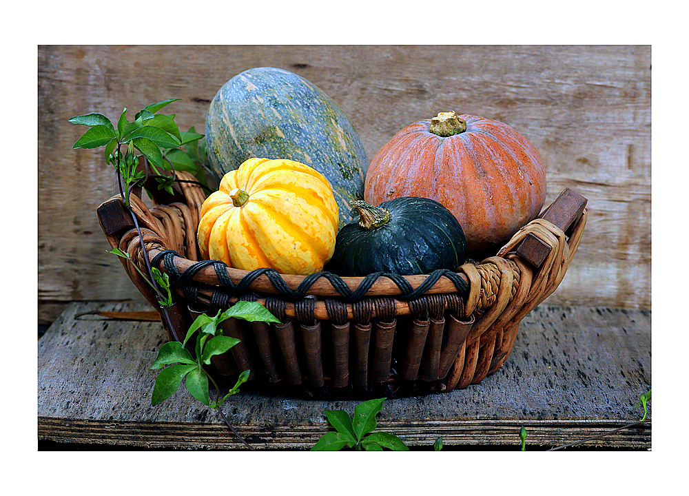 静物练手# 南瓜|摄影|产品摄影|will2019_原创作品-站酷(zcool)