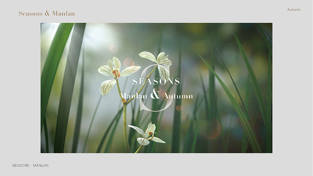 描金边的少女心