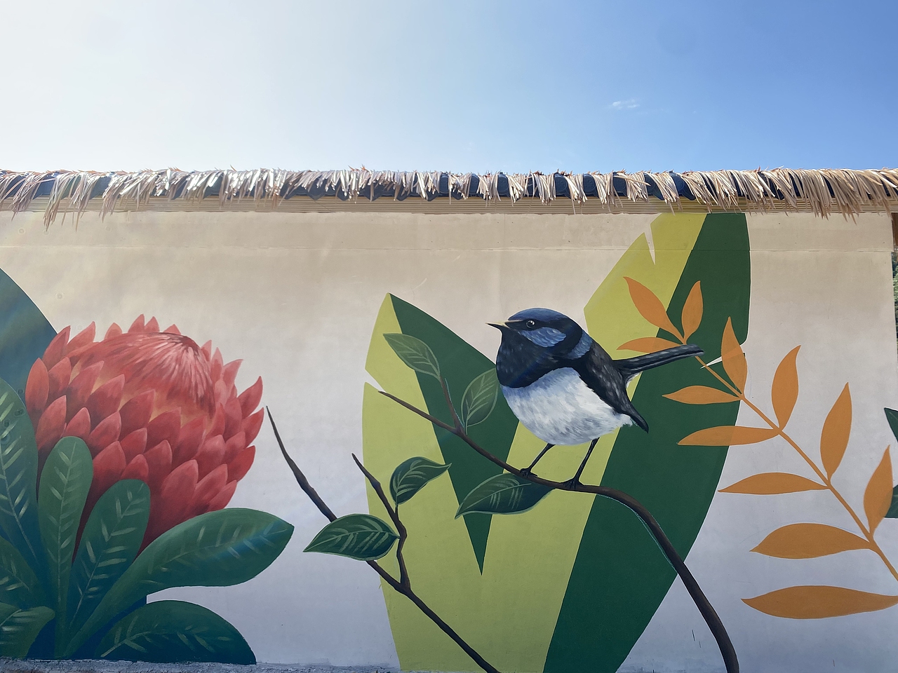 民宿外墙设计+手绘!