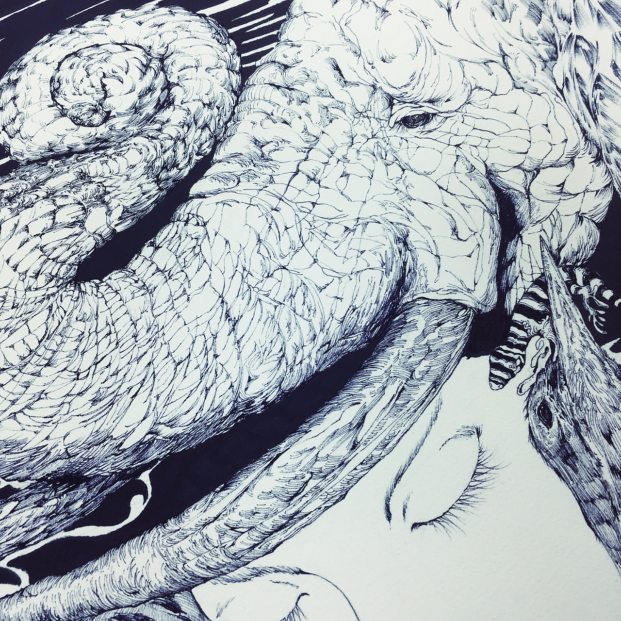 我与煤球共同完成