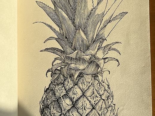 钢笔画 | 一颗大菠萝
