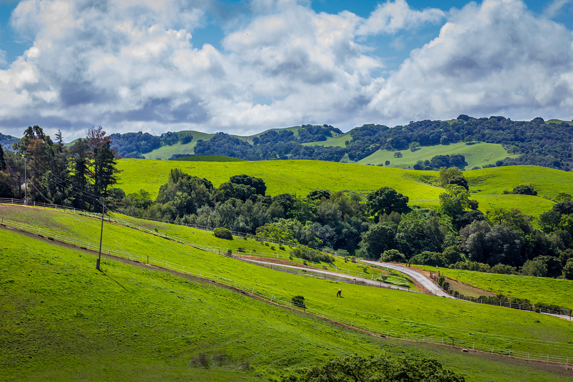 骑单车到 woodland, ca