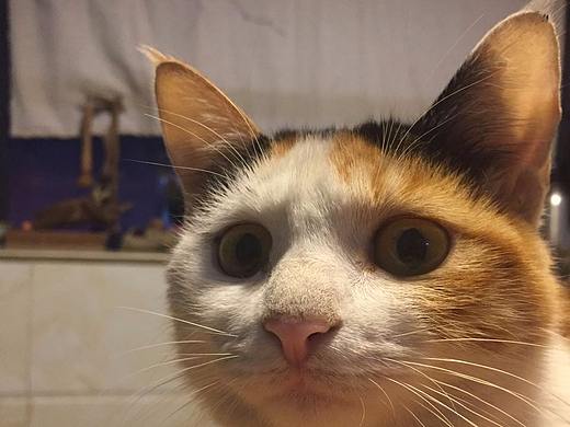 肥六合集（个人主页-ZMjU0NDM3NTI=） - 其他平面 - 站酷设计师卫冕王原创素材 - 站酷ZCOOL