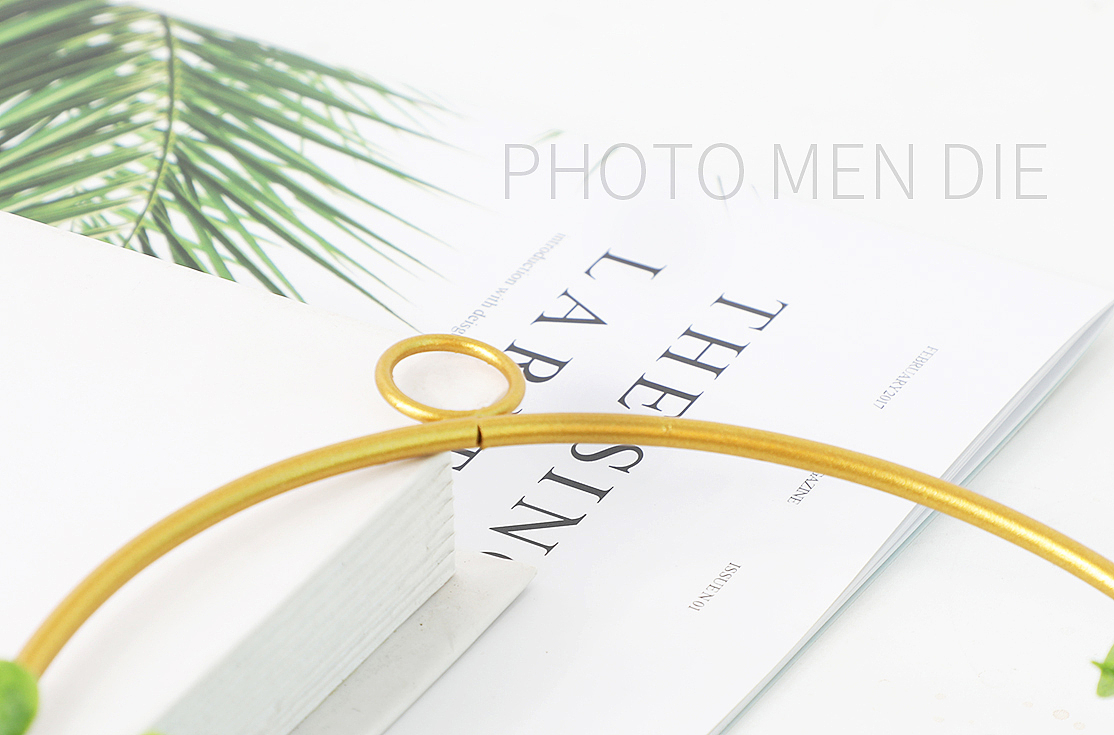 仿真花艺ins装饰品 北欧墙上挂饰花环 餐厅墙壁挂件