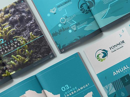 【海平面】Fonnor协会（2017）年报设计