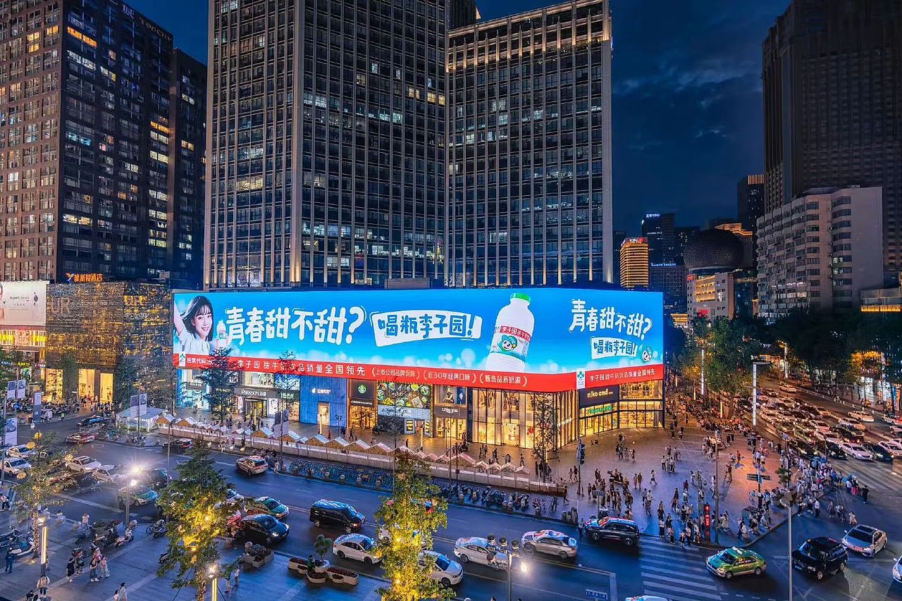 大康战略-品牌日课：李子园