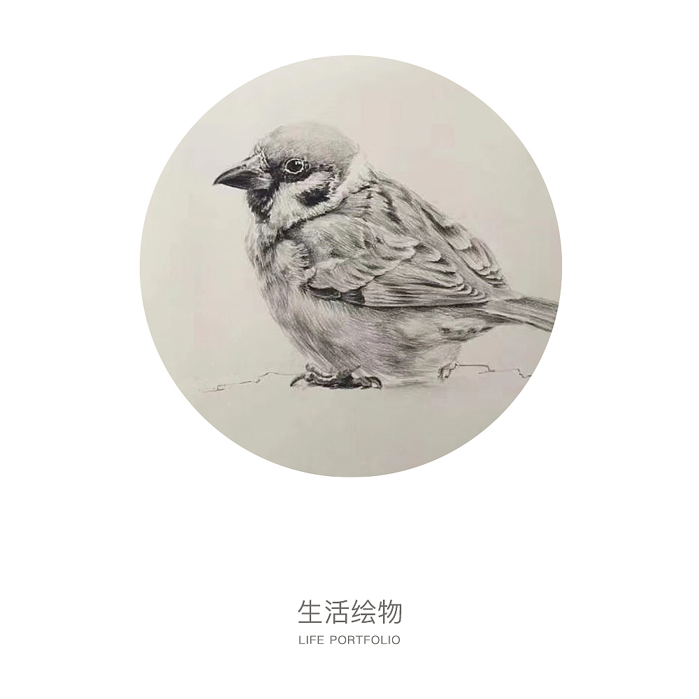 生活绘物（图ZMTA3MDE3MTQw） - 绘本 - 站酷设计师冲冲Eall原创素材 - 站酷ZCOOL