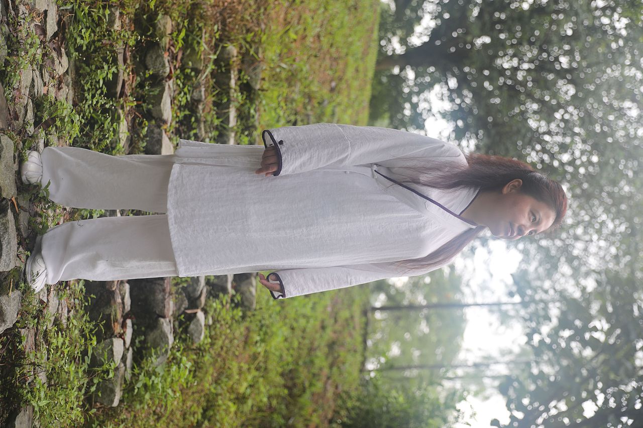 武当道致·理淳