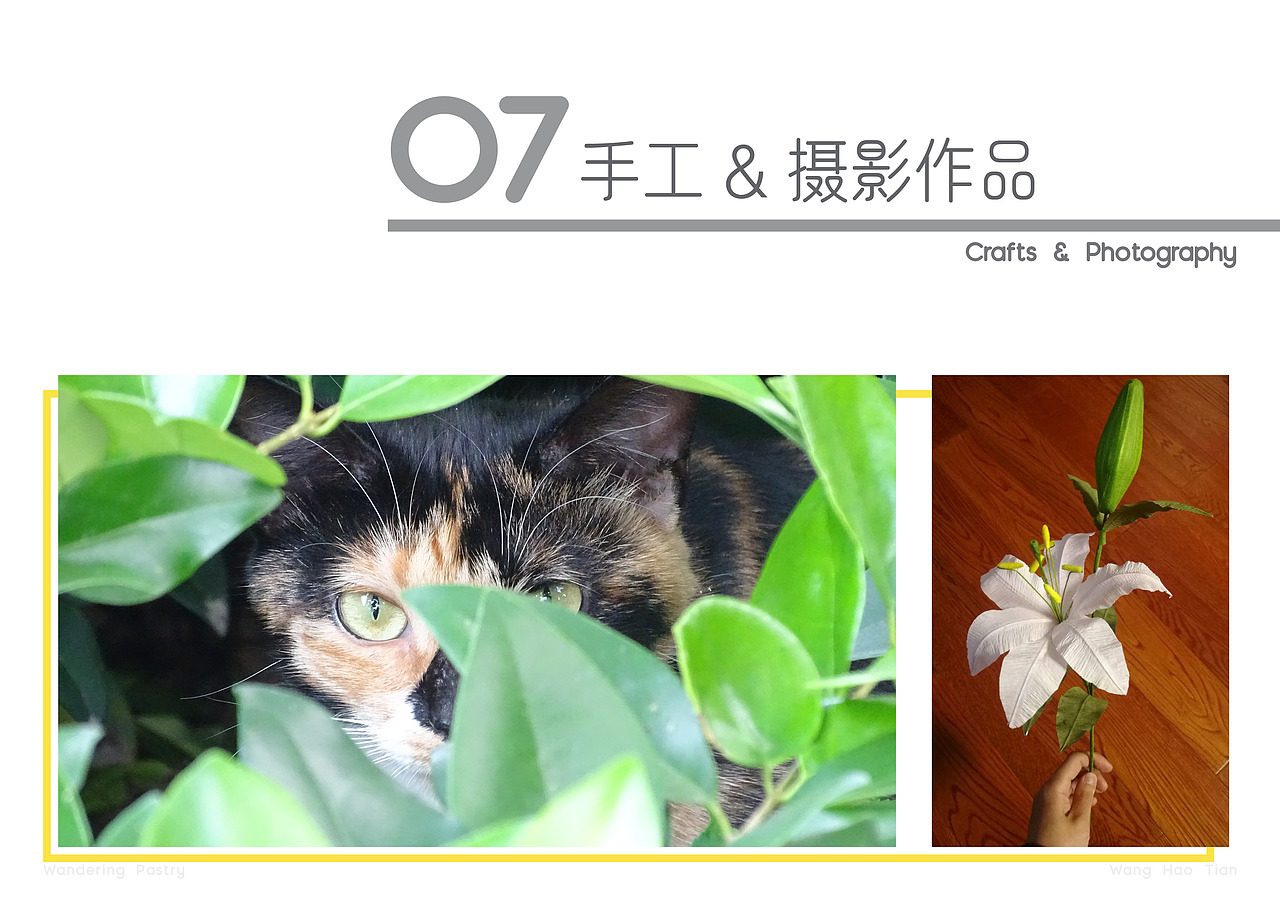 工业设计作品集-2021（图ZMjYzMTI1OTgw） - 其他工业/产品 - 站酷设计师游荡的金楚糕原创素材 - 站酷ZCOOL