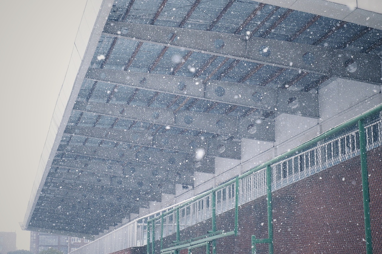 白雪纷飞何所似