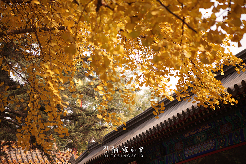 祈福.雍和宫（图ZMTI0Njk3MDg=） - 风光摄影 - 站酷设计师流景原创素材 - 站酷ZCOOL