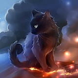 灼尾猫的头像