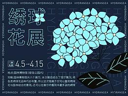 绣球花hydrangea