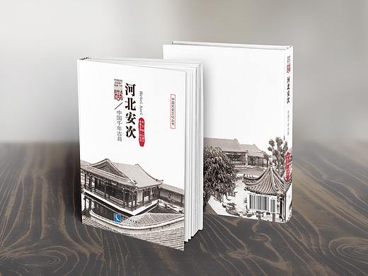 历史文化抢救工程丛书《中国千年古县•河北安次》样书