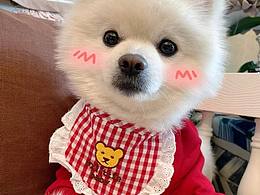 可以不可爱