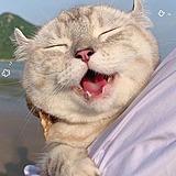 上天眷顾的宠儿的头像