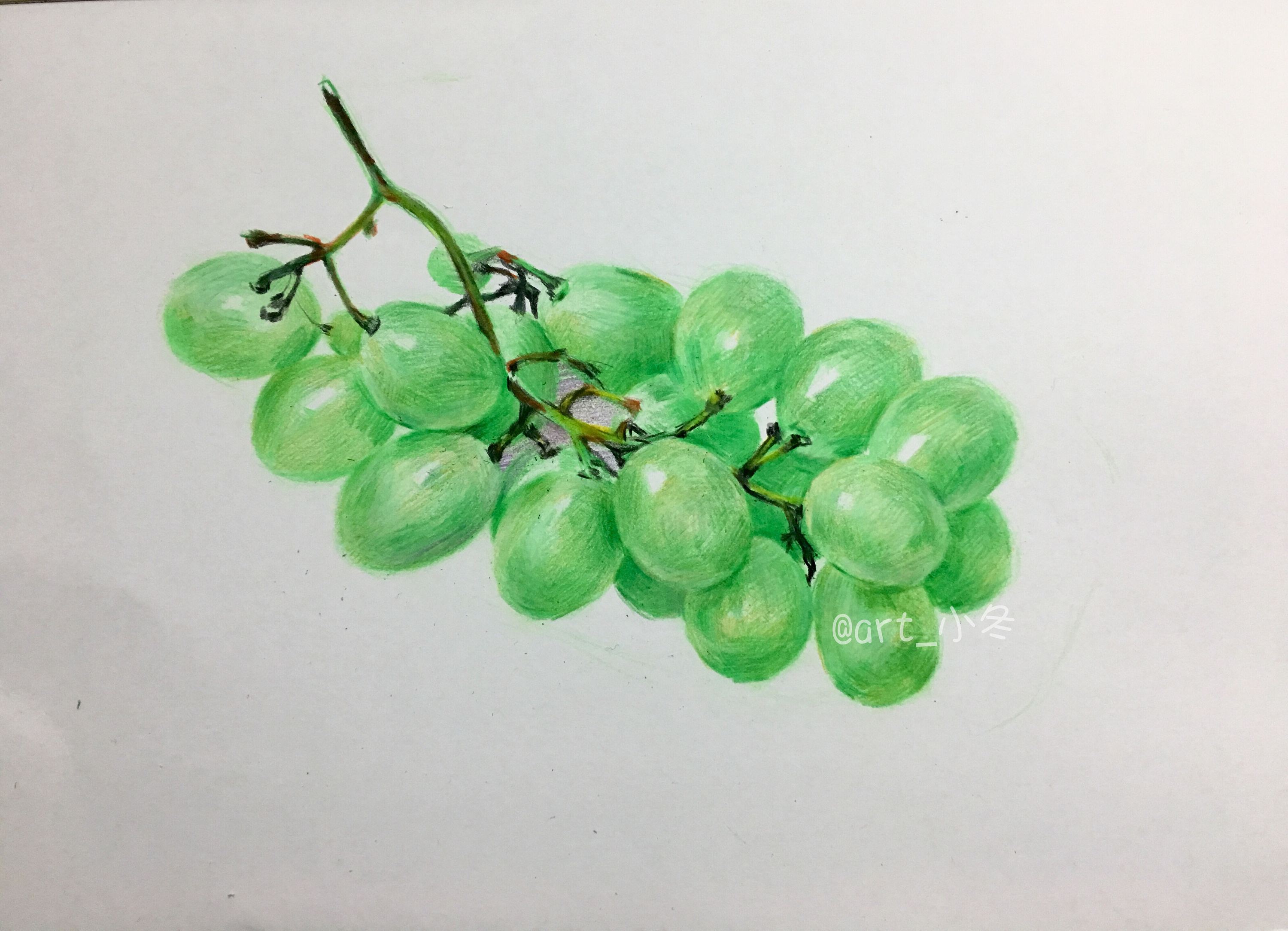 彩铅葡萄