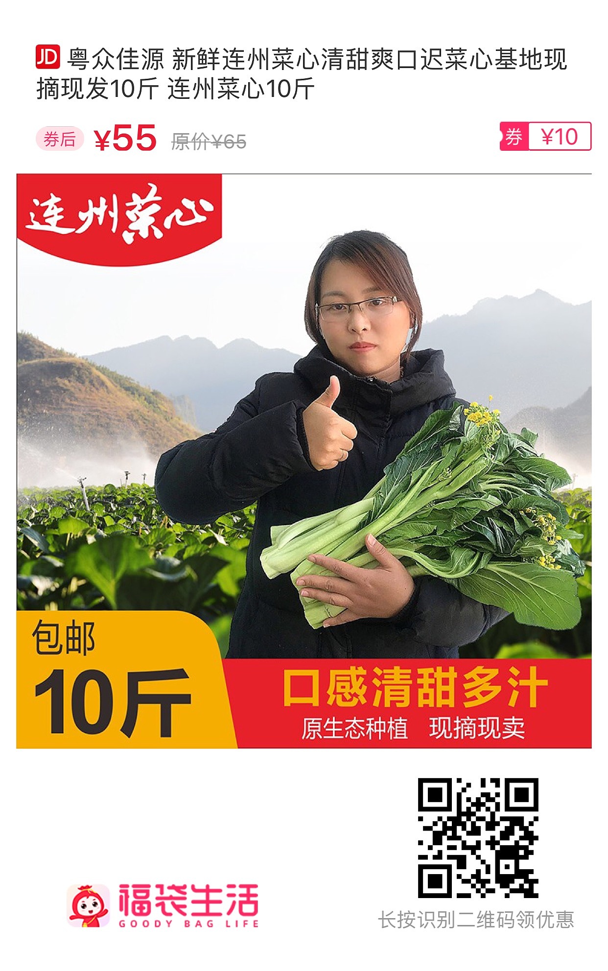 连州菜心品牌推广（图ZMjUwNjA0NjU2） - 品牌 - 站酷设计师张贤杪原创素材 - 站酷ZCOOL