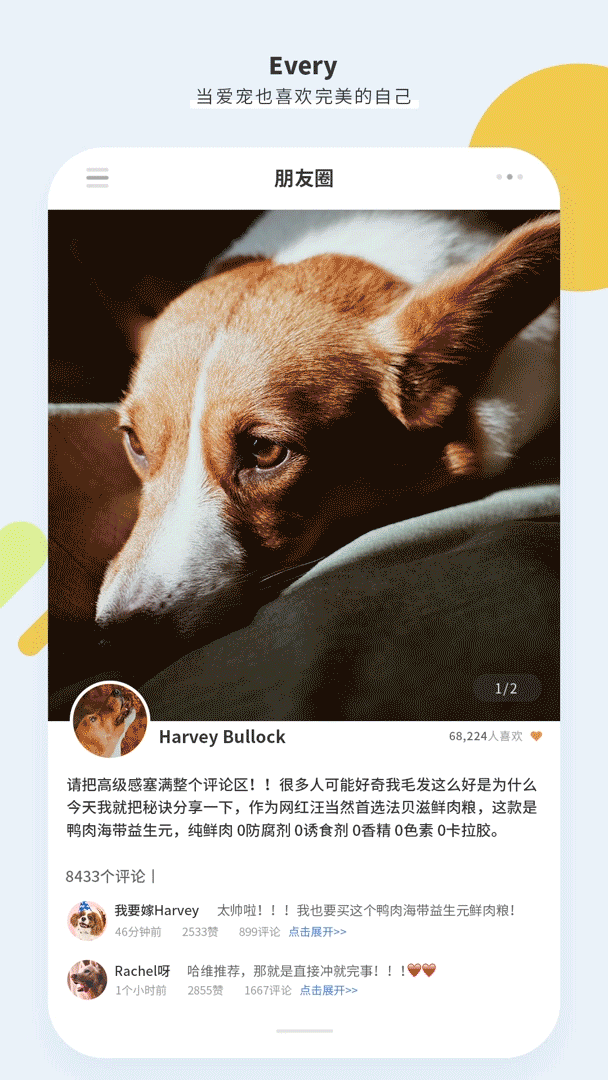 【法贝滋推文设计】这一期尝试做了一下动图