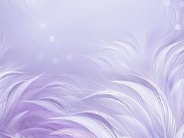 梦幻羽毛