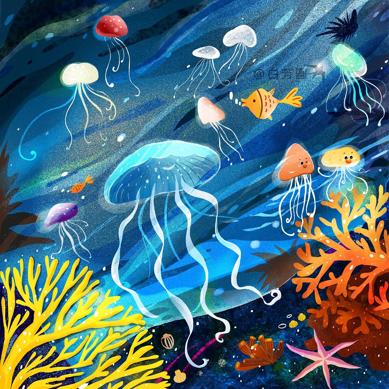 海底世界|插画|创作习作|Sunfree_Z - 原创作品 - 站酷 (ZCOOL)