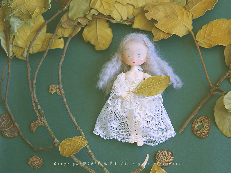 White Star and Black Moon 白星和黑月