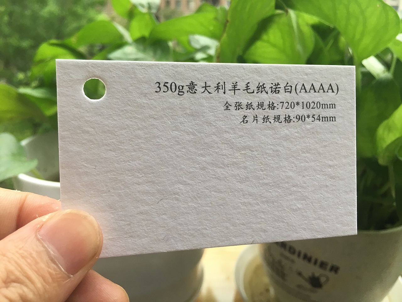 2019款特种纸艺术纸实物展示样册