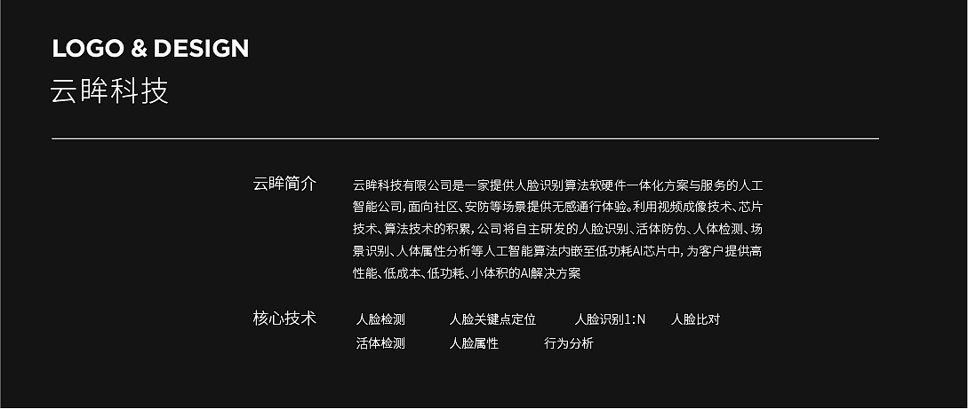 云眸科技-LOGO设计