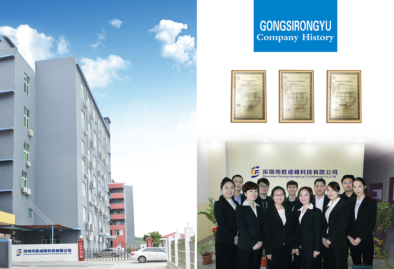 去印尼,巴西、肯尼亚、南非参加电子展画册