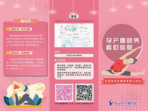 备孕期三折页，孕妇三折页