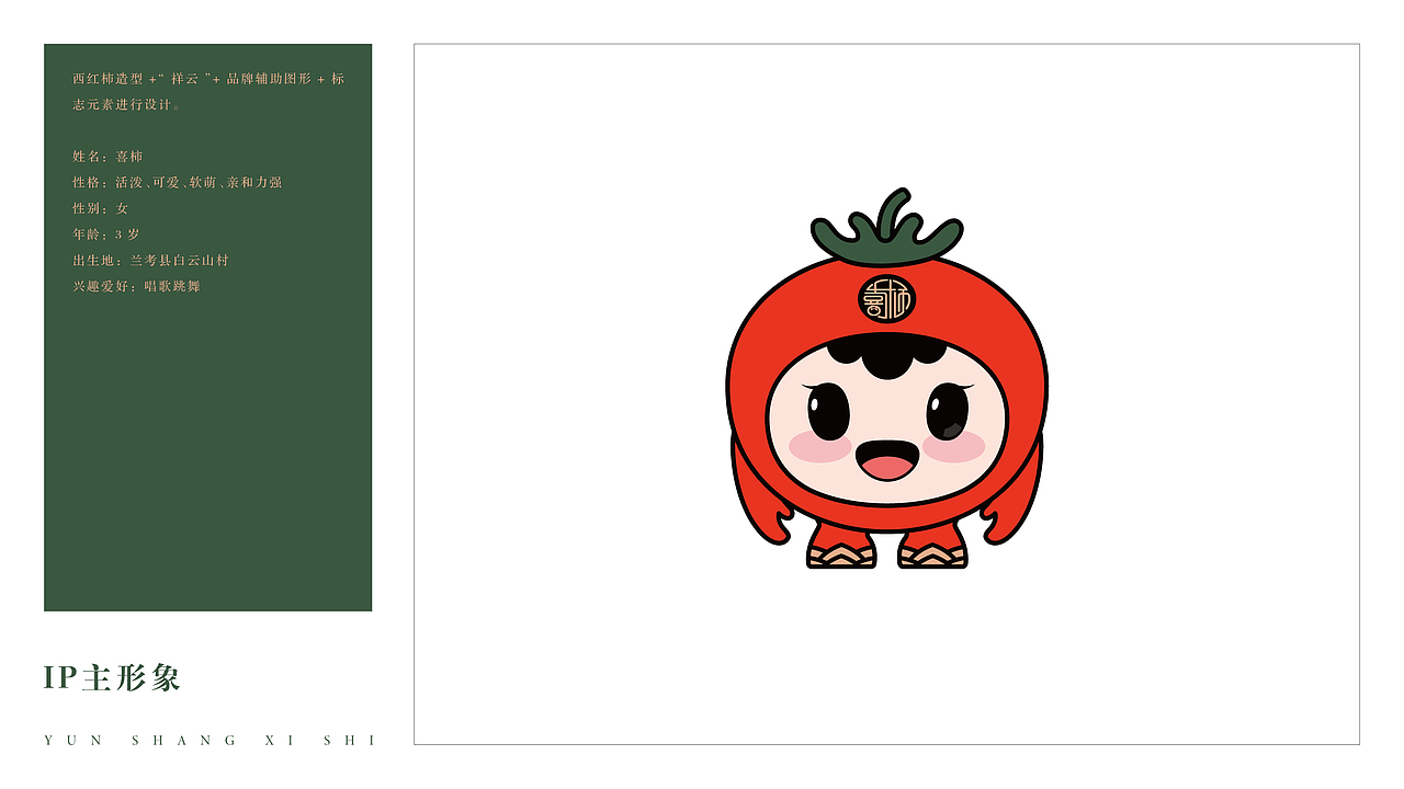 郑州兰考县白云山村【云上喜柿】品牌设计