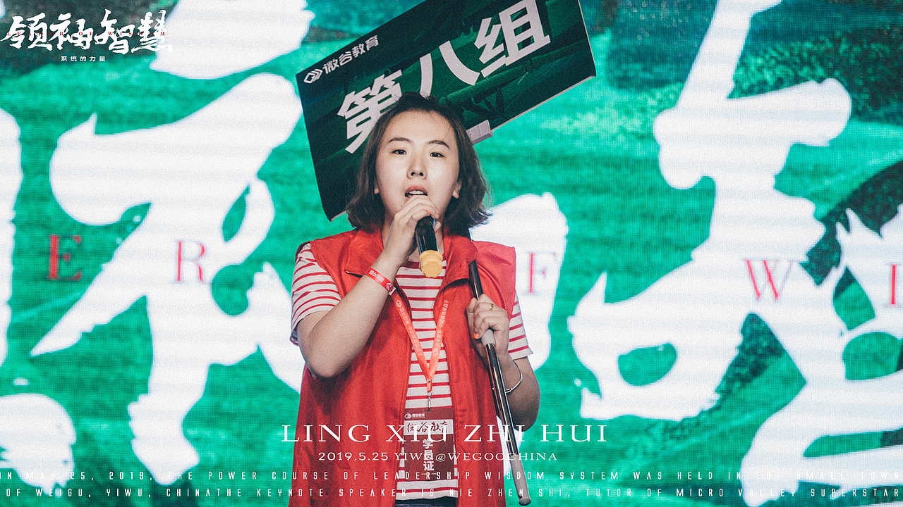 领袖智慧系统的力量