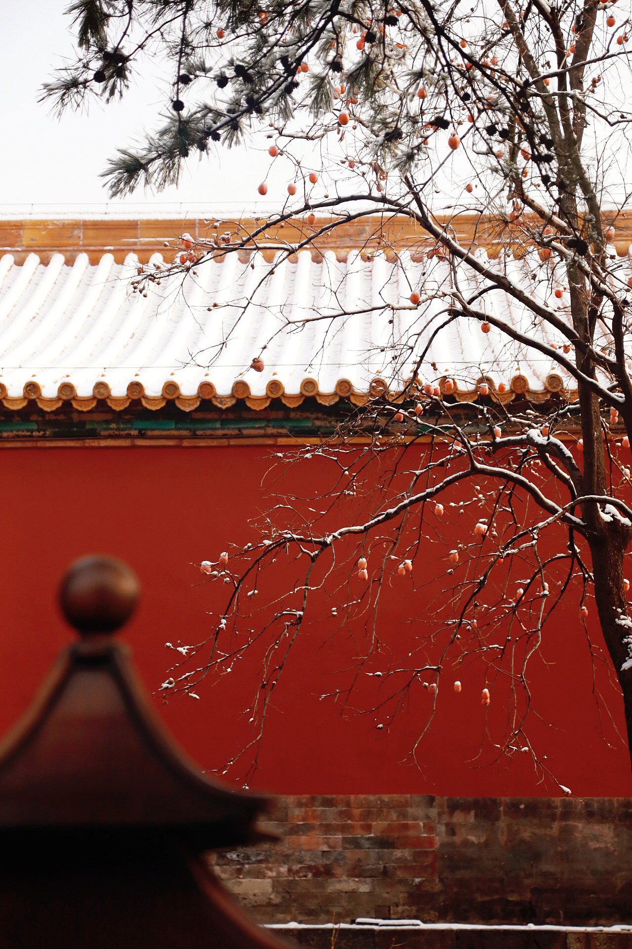 故宫·雪（图ZMjQwMTM1NjY4） - 风光摄影 - 站酷设计师lscdyhm原创素材 - 站酷ZCOOL