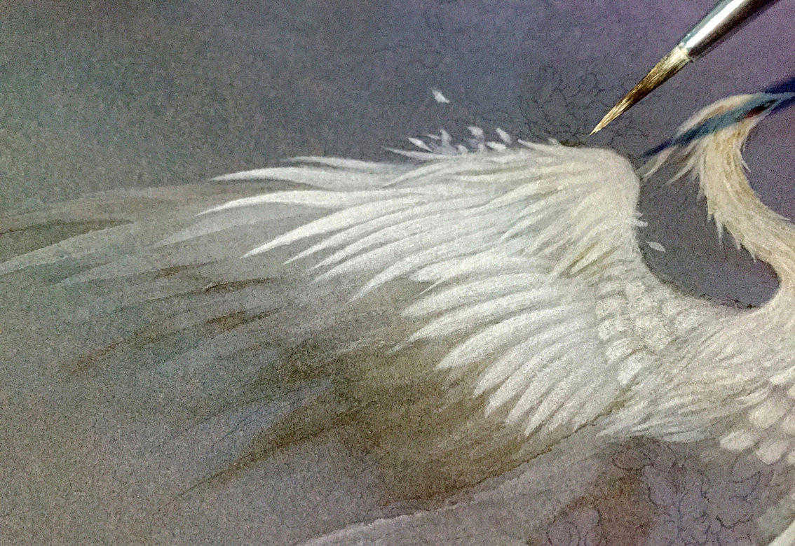 12然后慢慢画出第二层羽毛（也是用白色啦