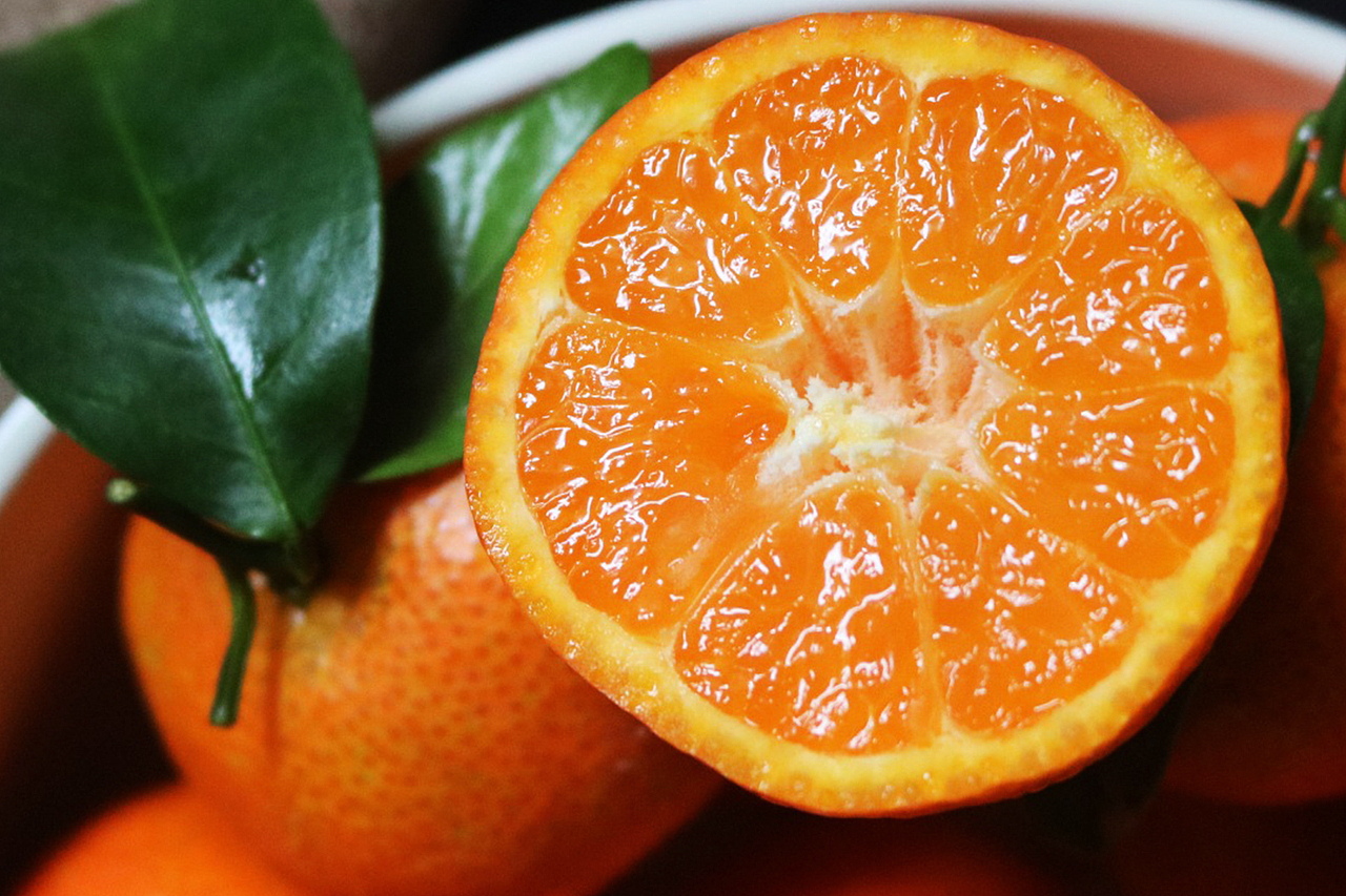 砂糖桔静物摄影