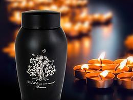 亞馬遜主圖7張（寵物類）