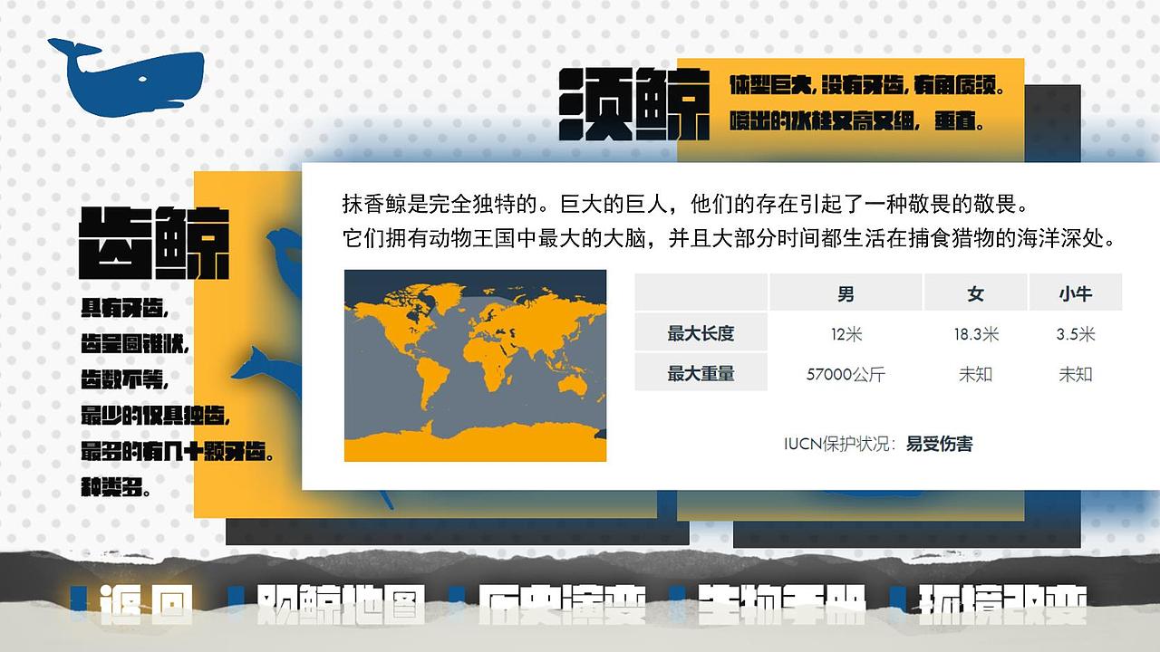 【Ventuz】《鲸》简单交互展示（图ZMjQzNzcwNzQw） - 其他 - 站酷设计师我的床矮了10cm原创素材 - 站酷ZCOOL