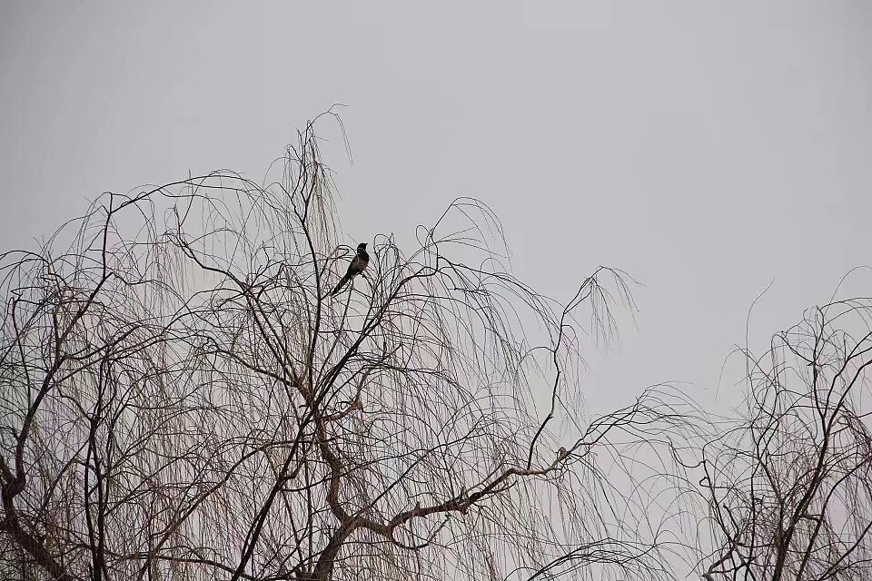 父亲眼中的世界（图ZMTEzNjE5MDcy） - 风光摄影 - 站酷设计师荼蘼y原创素材 - 站酷ZCOOL