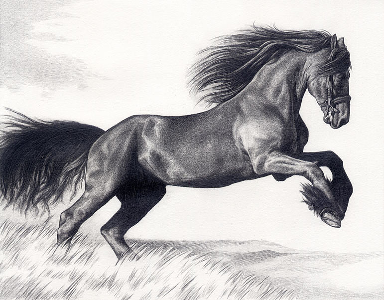 【渣绘】跃马前川（图ZODc2NDE2OA==） - 绘画 - 站酷设计师不知归期的喵原创素材 - 站酷ZCOOL