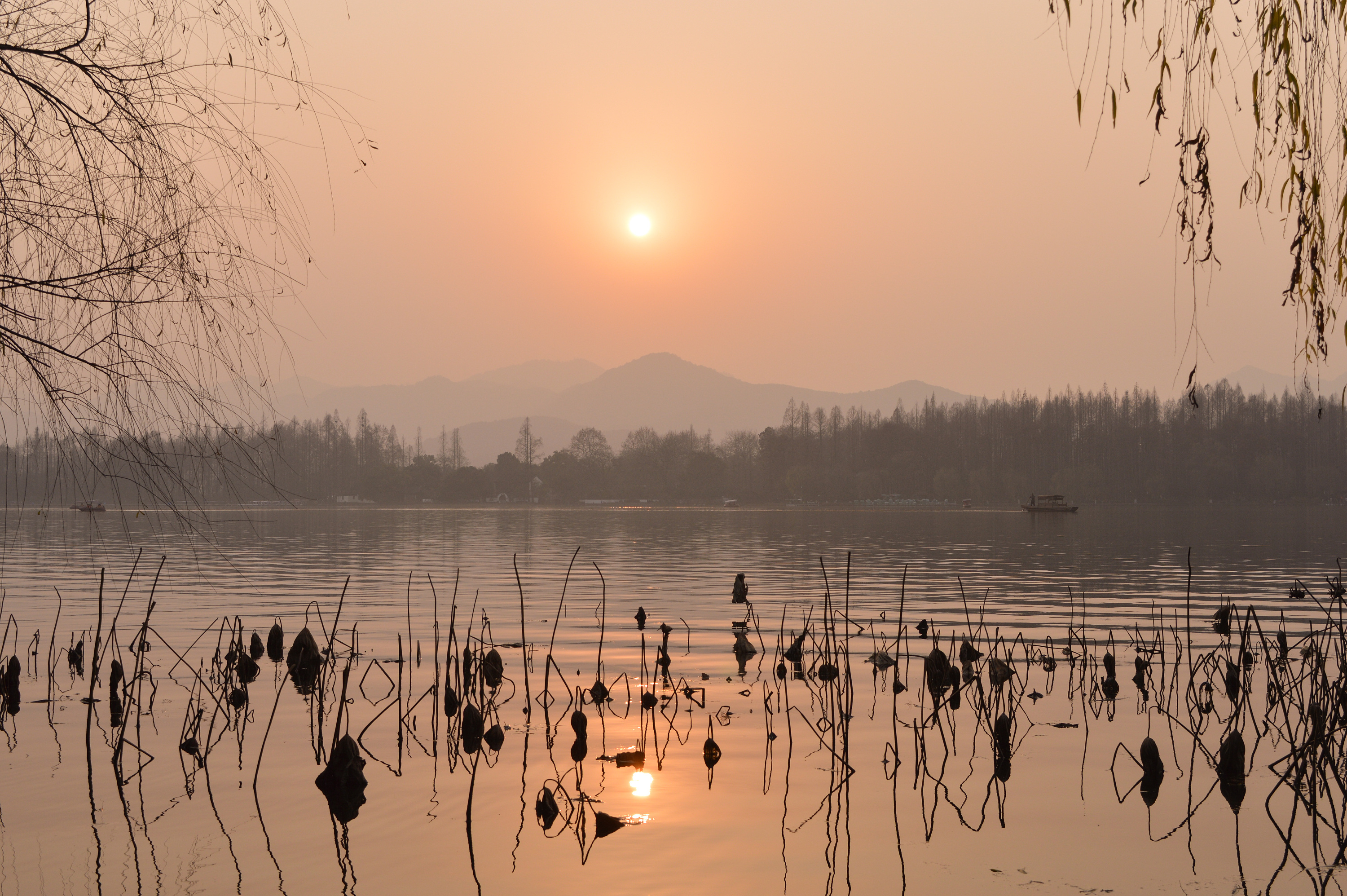 西湖|摄影|风光摄影|楼大猪啊 - 原创作品 - 站酷 (zcool)