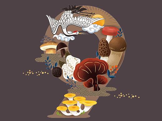 九方阁｜固体饮料