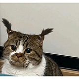 kethinxx的头像
