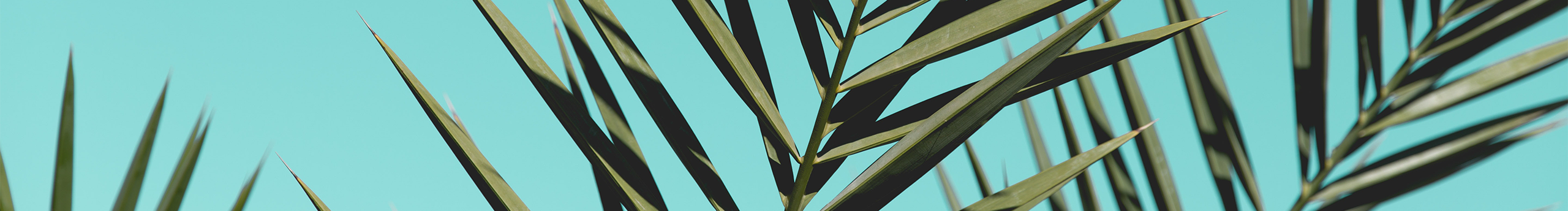 正月二十的個(gè)人主頁(yè)（封面預(yù)覽） - 主頁(yè)封面設(shè)置 - 站酷設(shè)計(jì)師正月二十原創(chuàng)素材 - 站酷ZCOOL