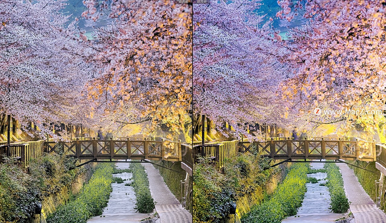 自然有机绿色调增强效果Lr预设