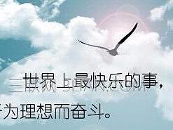 云匠网：淘宝美工必须知道的如何辨别好设计的3个技巧