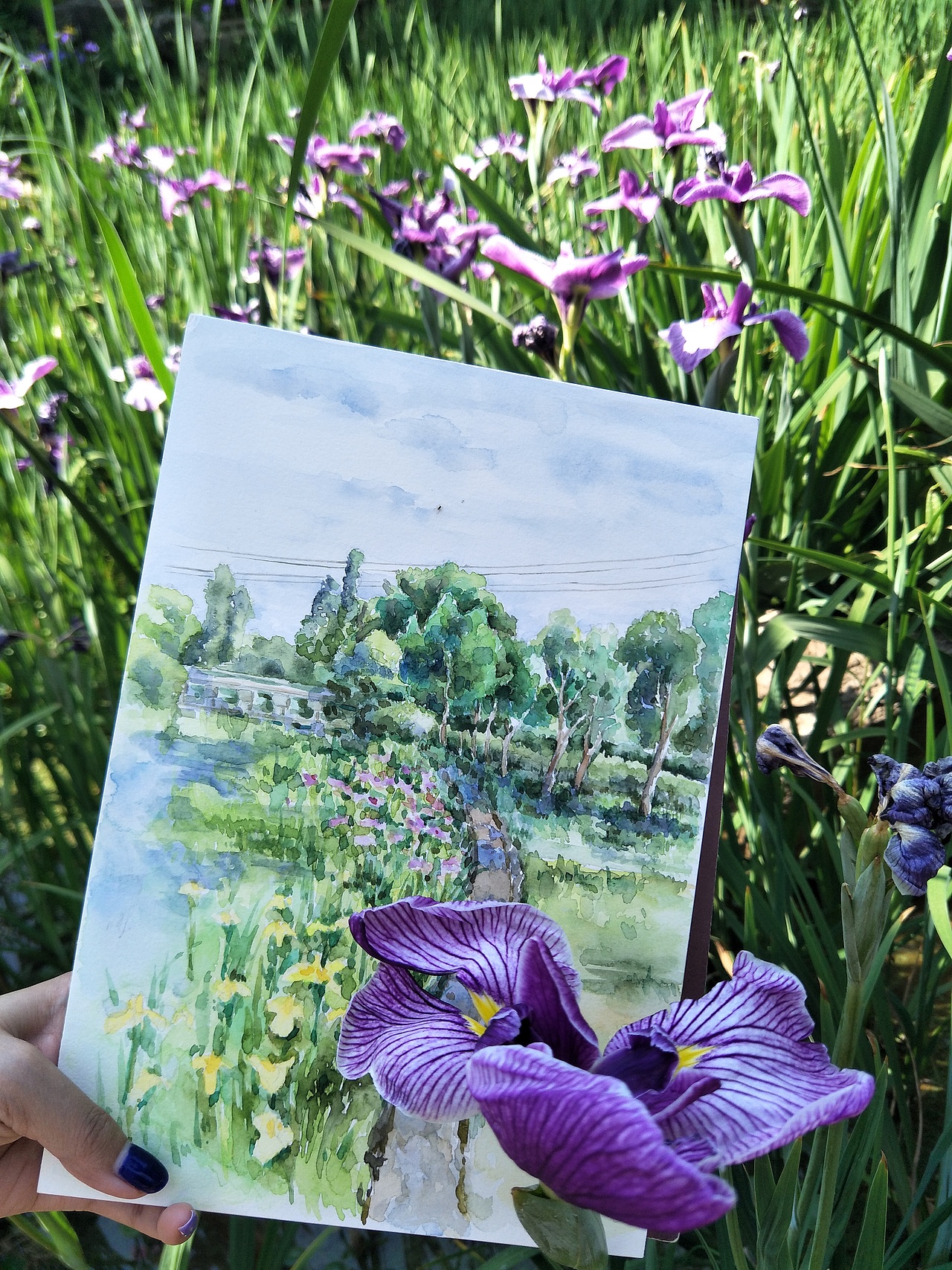 斑斓◢花海小路 水彩写生（图ZODM5MDQ4MjQ=） - 绘画 - 站酷设计师zjduoer原创素材 - 站酷ZCOOL